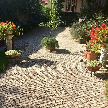 Vendégház Branca Jacinta Sintra