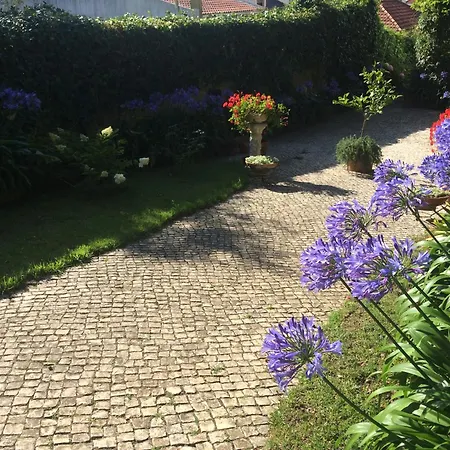 Vendégház Branca Jacinta 3*