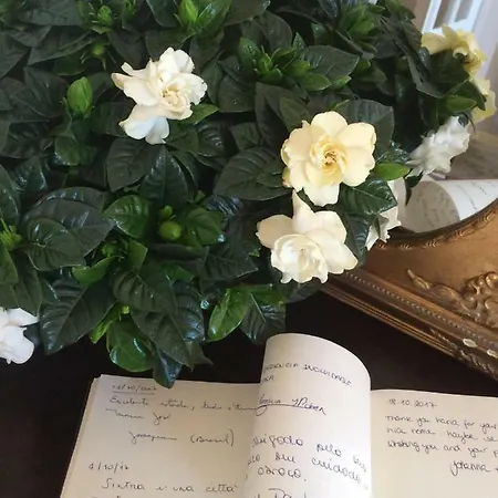 Branca Jacinta Vendégház