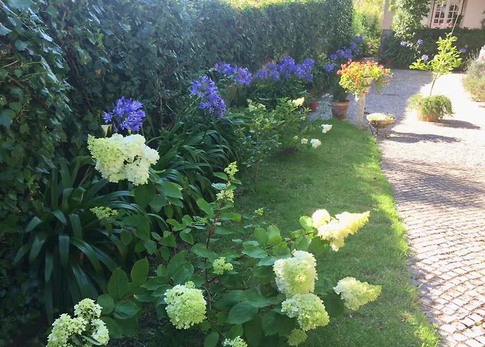 Branca Jacinta 3* Sintra