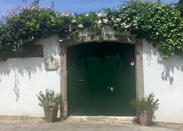 Branca Jacinta Sintra