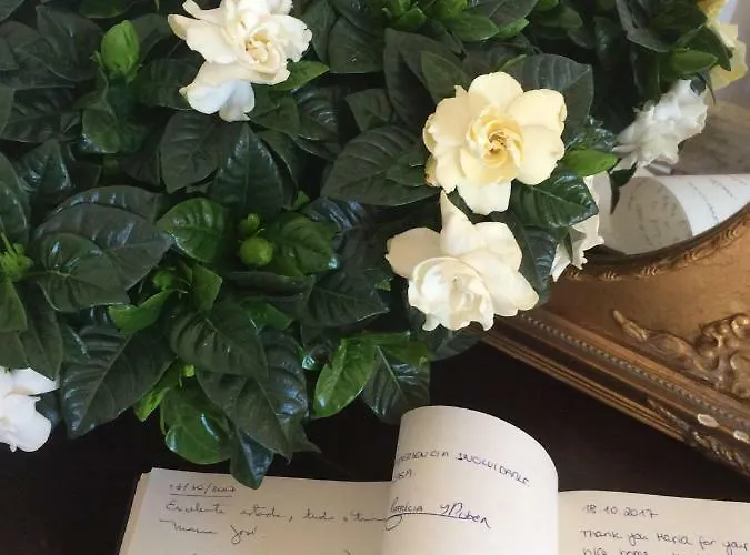 Branca Jacinta Pensjonat